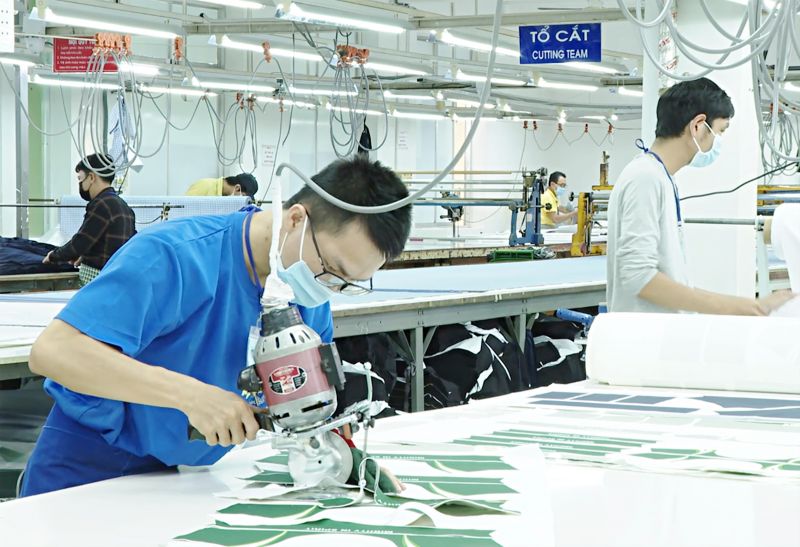 Tăng bảo hộ sở hữu trí tuệ để tận dụng tốt hơn cơ hội từ các FTA.