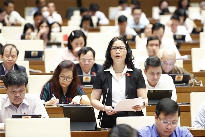 dai-bieu-quoc-hoi-tp-ha-noi-nguyen-thi-lan-1653989965.jpg
