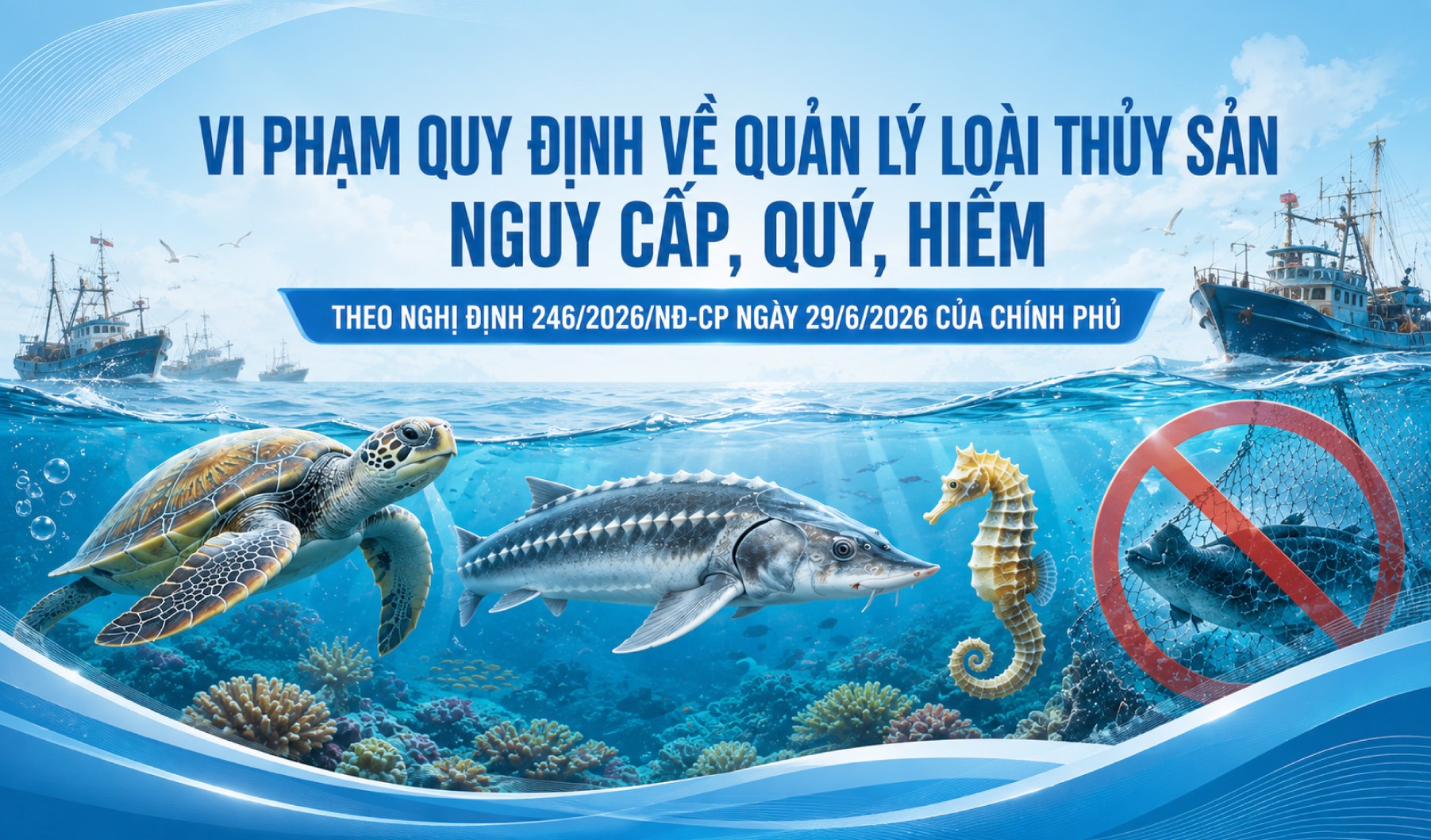 Vi phạm quy định về quản lý loài thủy sản nguy cấp, quý, hiếm theo nghị định 246/2026/NĐ-CP ngày 29/6/2026 của Chính phủ