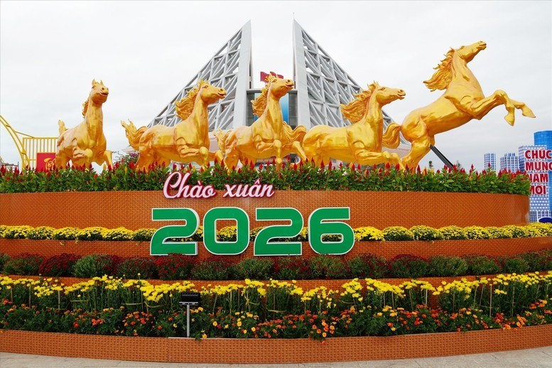 3-1771376144.jpg
