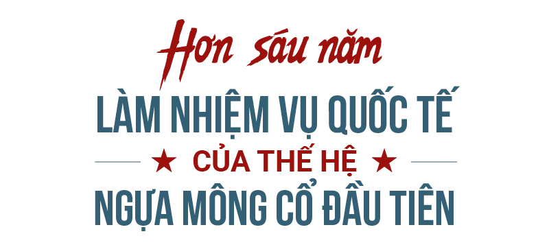 sutit-800px-01-1783496398.webp