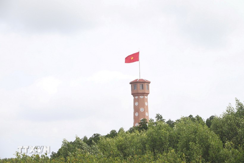 1-1771547625.jpg