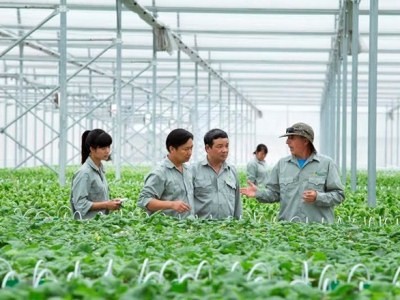  Nhiều doanh nghiệp đang trông chờ vốn từ gói 100.000 tỉ đồng  để phát triển nông nghiệp công nghệ cao