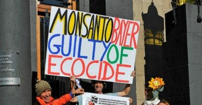  Một cuộc biểu tình phản đối Monsanto tại La Hay, Hà Lan hồi tháng 10/2016 (Ảnh: Monsanto Tribunal)