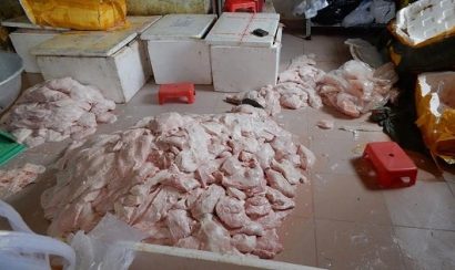  Một vụ bắt giữ nầm lợn thối cuối năm 2016 tại TP HCM.