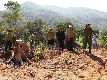  Lãnh đạo công an tỉnh, Sở NN&PTNT tỉnh Bình Định kiểm tra hiện trường vụ phá rừng tại huyện An Lão ngày 9-9. Ảnh: NL