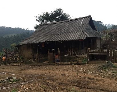  Lán nương nơi tử tù Nguyễn Văn Tình ẩn náu.