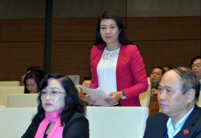  Đại biểu Phương Hoa cho biết nhiều nước xử lý tài sản bất minh của quan chức như xử lý với tài sản tham nhũng - ảnh: Việt Dũng