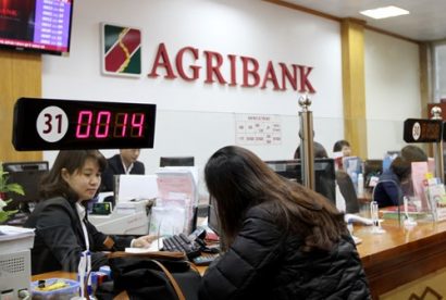  Agribank không tổ chức đấu thầu tập trung in lịch tết là vi phạm Luật Đấu thầu dẫn đến chi phí in lịch Tết lãng phí, không đạt hiệu quả kinh tế. Ảnh: T.A