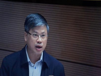  ĐB Nguyễn Sỹ Cương: Cây gỗ to 100 năm mới có, chặt phá chỉ cần 16 phút. Ảnh: Đ.MINH 