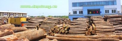 Xưởng gỗ của Công ty Điệp Dương theo website của Công ty