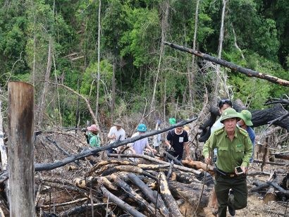 Phá rừng Tiên Lãnh: Đề nghị truy tố 2 bị can - ảnh 2Lực lượng chức năng kiểm tra hiện trường vụ phá rừng. Ảnh: HT