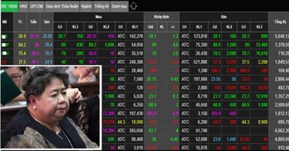  Hàng chục cổ phần, cổ phiếu liên qua bị can Hứa Thị Phấn bị cơ quan CSĐT Bộ Công an phong tỏa.