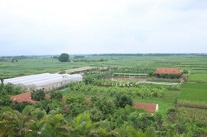  FLC Eco Farm gợi nhớ về Đà Lạt với những khu nhà kính trồng rau sạch, bầu không khí trong lành, yên tĩnh và không gian xanh mướt
