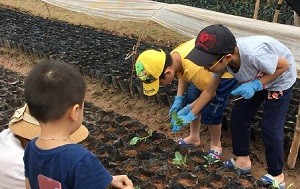 Các em nhỏ hào hứng tập trồng cây tại FLC Eco Farm