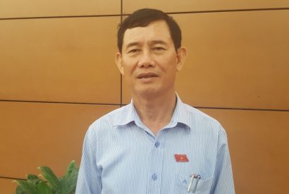 Đại biểu Quốc hội Nguyễn Ngọc Phương.