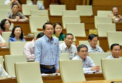  ĐBQH Thái Trường Giang. Ảnh: Quochoi.vn