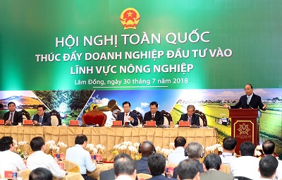 Thủ tướng Nguyễn Xuân Phúc chủ trì Hội nghị toàn quốc thúc đẩy doanh nghiệp đầu tư vào lĩnh vực nông nghiệp