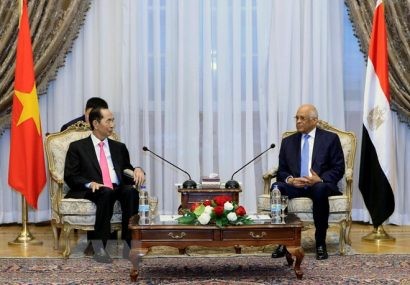  Chủ tịch nước Trần Đại Quang hội kiến Chủ tịch Quốc hội Ai Cập Ali Abdel Aal. Ảnh TTXVN