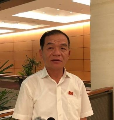  ĐBQH Lê Thanh Vân.