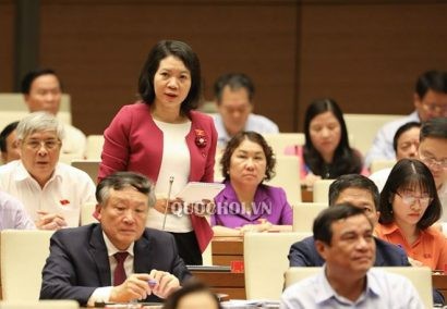 ĐB Mai Thị Phương Hoa (Nam Định) đặt câu hỏi