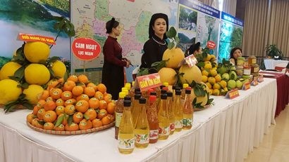  Những đặc sản nông nghiệp nổi tiếng của Bắc Giang