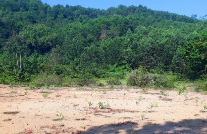 Nền đất khởi công rình rang ngày ấy nay trống trơn, hoang hóa.