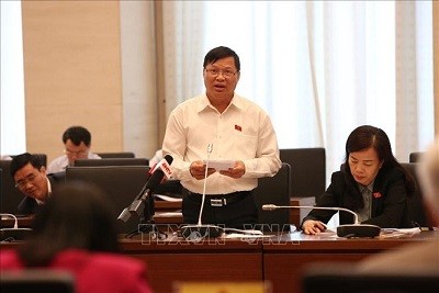 Đại biểu Quốc hội tỉnh Vĩnh Phúc Trần Văn Tiến phát biểu thảo luận. 