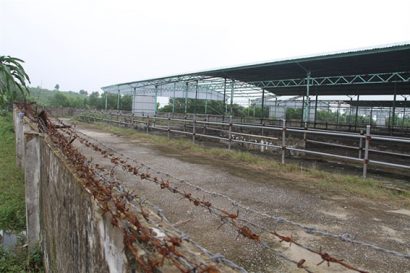  Cận cảnh hoang tàn Siêu dự án nuôi bò thịt của Công ty Bình Hà tại Hà Tĩnh