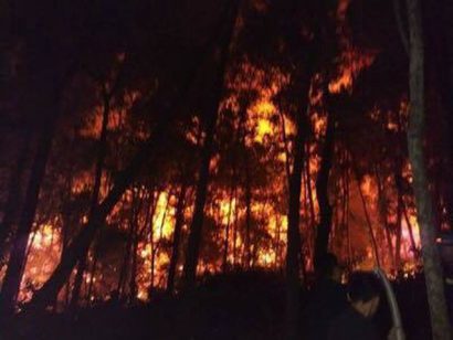 Hình ảnh vụ cháy rừng nghiêm trọng tại Hà Tĩnh vào ngày 29/6