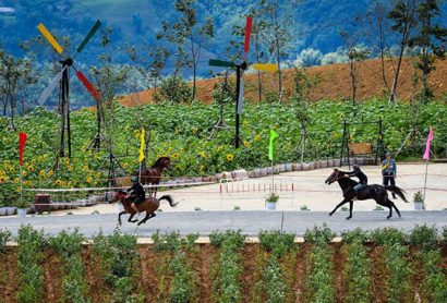  Không chỉ các nài ngựa và những chú ngựa Tây Bắc hào hứng khi được thi đấu, tranh tài trên một cung đường đua vô cùng lãng mạn được trang trí đầy hoa tươi…