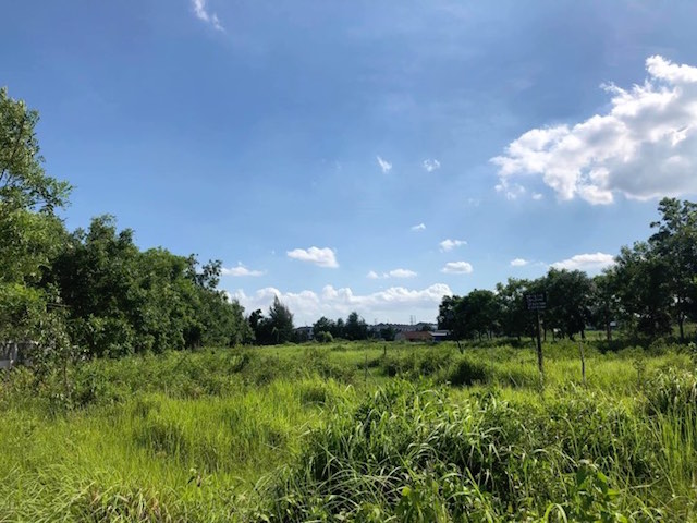 Ảnh minh hoạ (Nguồn Internet)