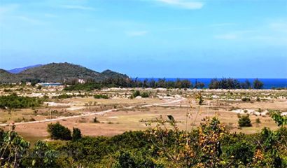 Ảnh chỉ có tính chất minh họa. 