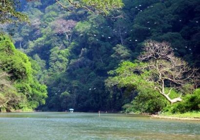 Một góc vườn quốc gia Tam Đảo - Ảnh: TTO 