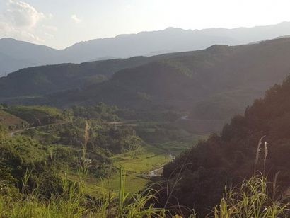 Trên hành trình chinh phục đỉnh Pu Xai Lai Leng, du khách sẽ đi qua cánh rừng già huyền bí 