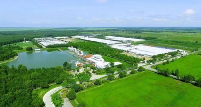 Xuân về, những đồng cỏ, bắp, cây lá đều đâm chồi nẩy lộc bao bọc lấy trang trại, biến nơi đây thành một ốc đảo xanh mát  