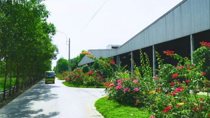 Có thể cảm nhận mùa xuân về trên những cung đường đầy hoa lá trong trang trại rộng 685ha này  