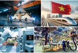 Kiểm soát việc áp dụng pháp luật hình sự đối với quan hệ kinh tế: Kinh nghiệm so sánh và kiến nghị cho Việt Nam
