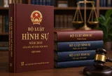 Đổi mới tư duy hoàn thiện pháp luật hình sự Việt Nam trong kỷ nguyên mới (phần 1)