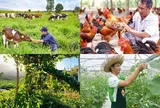 Chính sách mới có hiệu lực từ tháng 8/2026