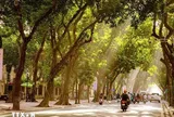 Festival Thu Hà Nội 2026: Mở ra không gian di sản, văn hóa và du lịch đặc sắc