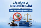 Các hành vi bị nghiêm cấm và chế tài pháp luật về ma túy