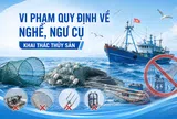 Vi phạm quy định về nghề, ngư cụ khai thác thủy sản