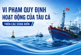 Vi phạm quy định hoạt động của tàu cá trên các vùng biển