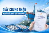 Giấy chứng nhận nguồn gốc thủy sản khai thác
