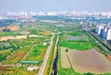 Không truy cứu trách nhiệm hình sự với một số vi phạm về đất đai trước 1-8-2024