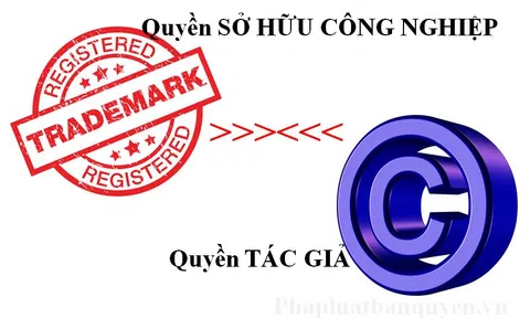 Mâu thuẫn “song quyền” theo Luật sở hữu trí tuệ, bất cập và cách thức tự vệ