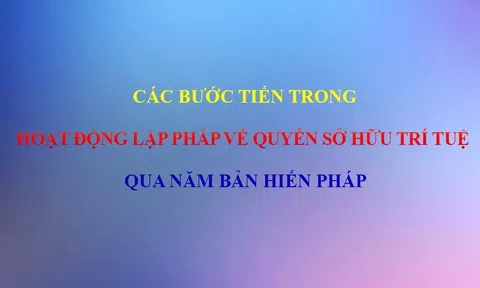 Các bước tiến trong hoạt động lập pháp về quyền Sở hữu trí tuệ qua năm bản Hiến pháp