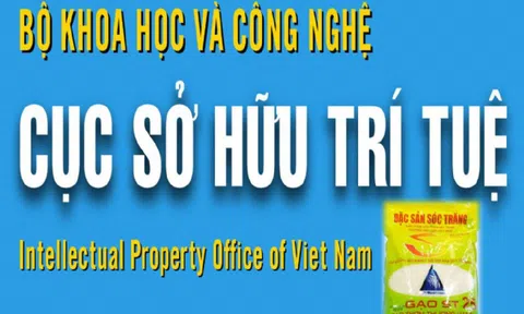 Một số vấn đề liên quan đến thông tin thương hiệu gạo ST25 bị “đánh cắp” tại Hoa Kỳ