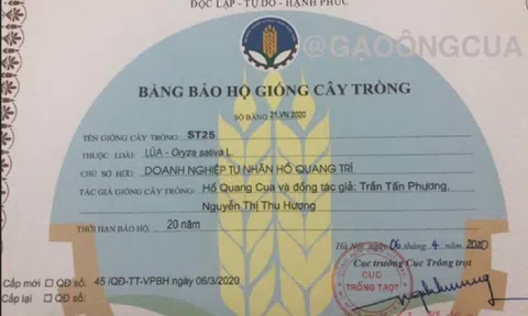 ST25 VÀ CÂU CHUYỆN XÂY DỰNG, BẢO HỘ THƯƠNG HIỆU